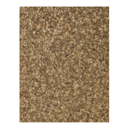 Dion - Sel de céleri - texture