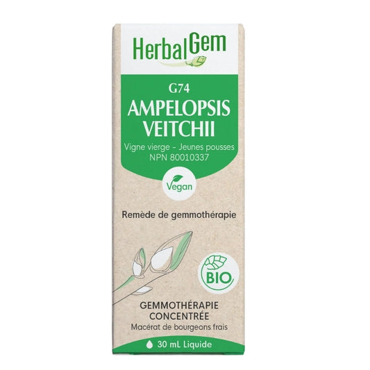Herbal Gem G74 Ampelopsis veitchii