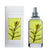 jimmy boyd Parfum bio - Lavande