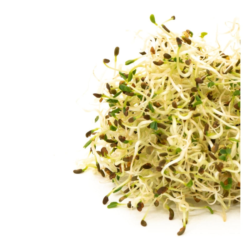 Alfalfa – La Moisson - Main Image