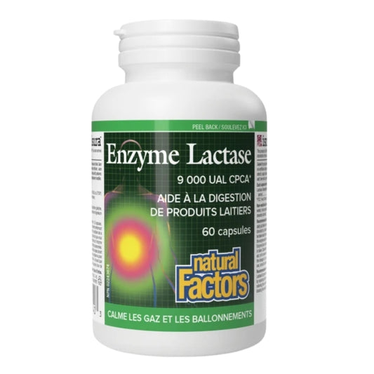 Natural Factors  Enzyme Lactase