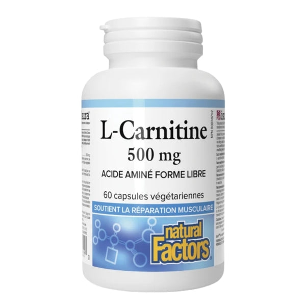 L-Carnitine| The Harvest|Online store – La Moisson