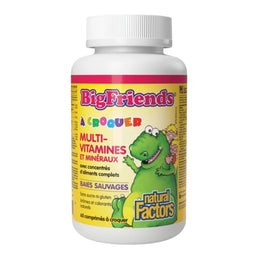 natural Factors Multivitamines et minéraux à croquer - Big Friends - Baies sauvages