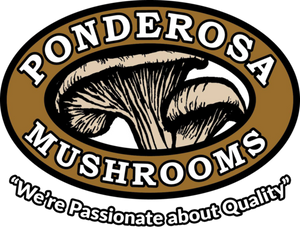 Ponderosa Mushrooms