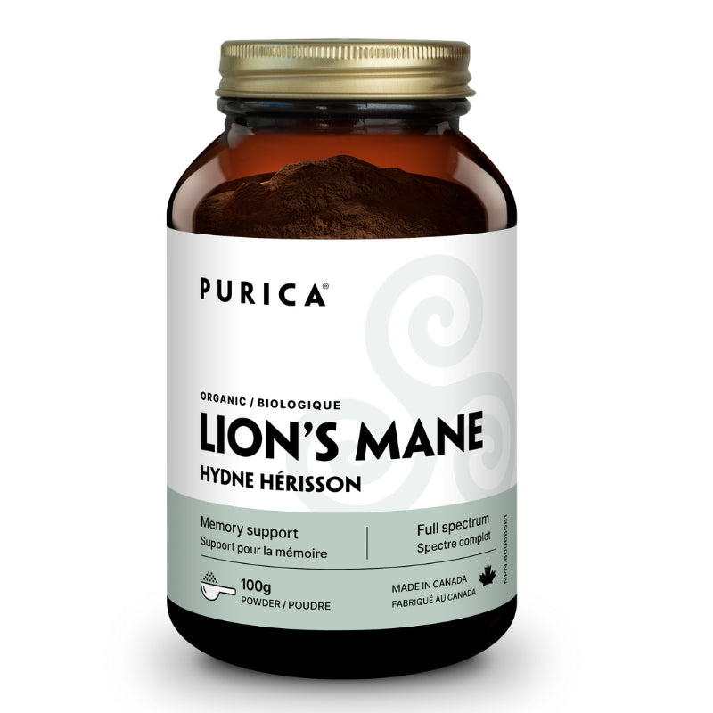 Purica Hydne Hérisson | Support pour la mémoire - poudre 