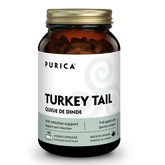 purica Turkey Tail (Coriolus)