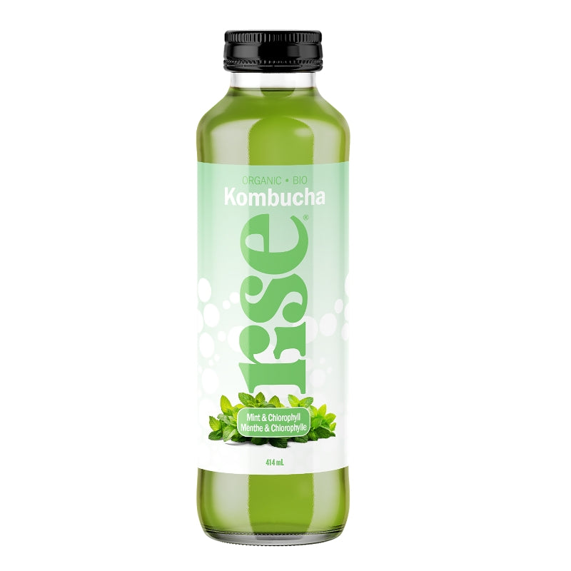 rise Kombucha Menthe & Chlorophylle