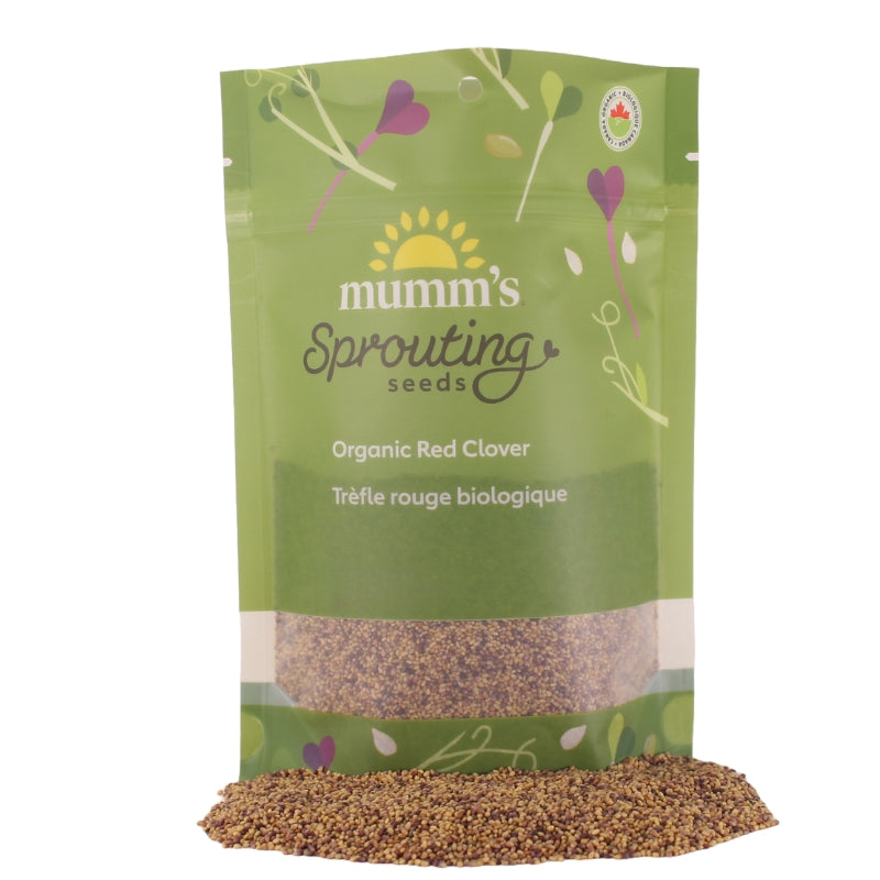 Mumm's Sprouting Seeds trèfle rouge biologique