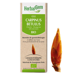 Herbalgem G52 Carpinus betulus Charme bourgeons biologique remède de gemmothérapie macérat de bourgeons frais