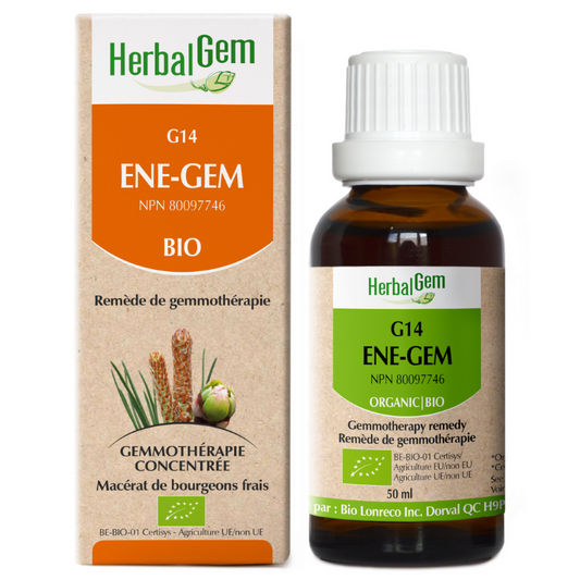 Herbalgem G14 ENE-GEM Biologique gemmothérapie concentrée macérat de bourgeons frais 50 ml