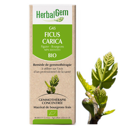 Herbalgem G45 Ficus Carica biologique remède de gemmothérapie macérat de bourgeons frais 