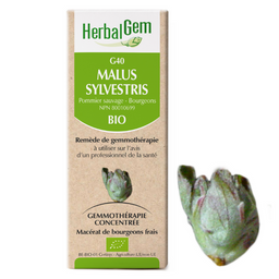 Herbalgem G40 Malus sylvestre biologique Pommier sauvage - Bourgeons remède de gemmothérapie macérat de bourgeons frais