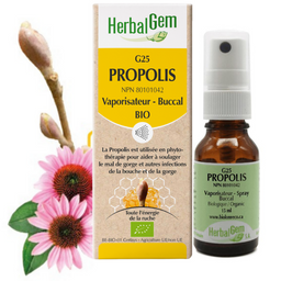 Herbalgem G25 Propolis vaporisateur buccal biologique utilisé en phytothérapie pour aider à soulager le mal de gorge et autres infections de la bouche et de la gorge 15 ml