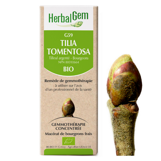 Herbalgem G59 Tilia Tomentosa biologique Tilleul argenté - Bourgeons de remède gemmothérapie macérat de bourgeons frais