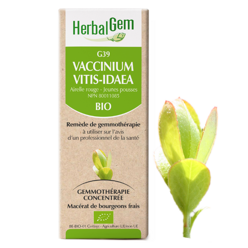 Herbalgem G39 Vaccinium vitis-idaea biologique remède de gemmothérapie  macérat de bourgeons frais