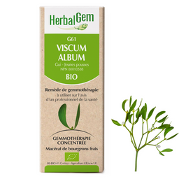 Herbalgem G61 Viscum album Gui - jeunes pousses biologique remède de gemmothérapie macérat de bourgeons frais 
