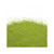 Matcha Uji (Thé vert)||Matcha Uji (green tea)