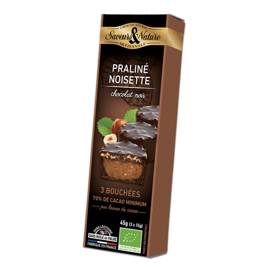 chocolaterie saveurs nature artisanale 3 bouchees praline noisette chocolat noir