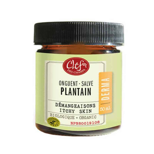 clef des champs onguent - plantain 50 ml