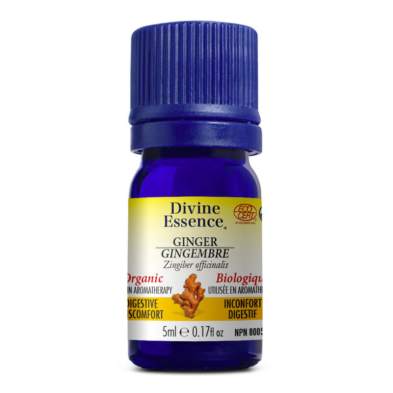 Divine essence huile essentielle gingembre biologique