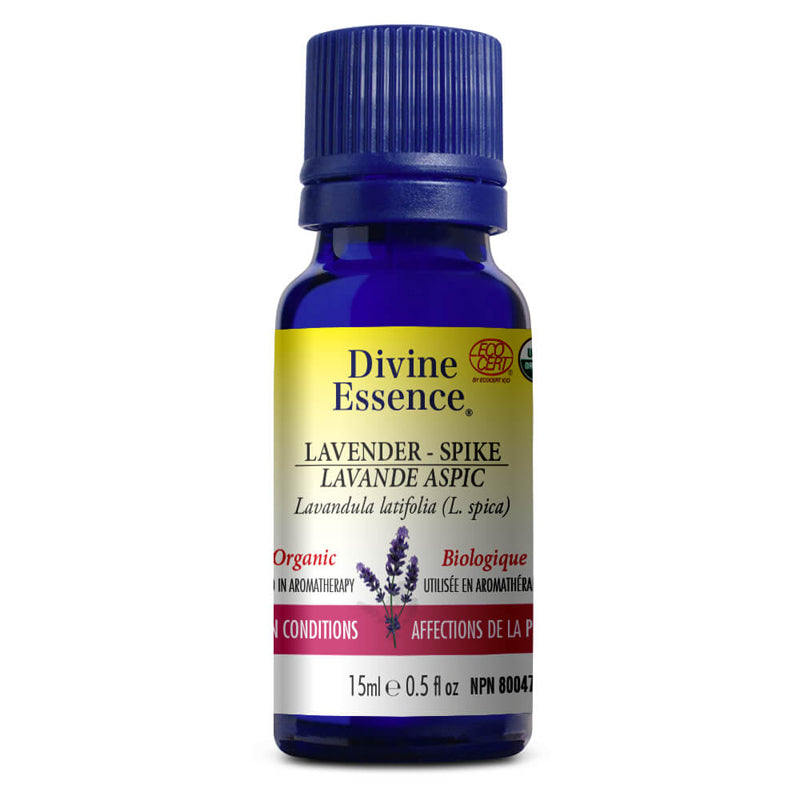 Divine essence huile essentielle lavande aspic biologique