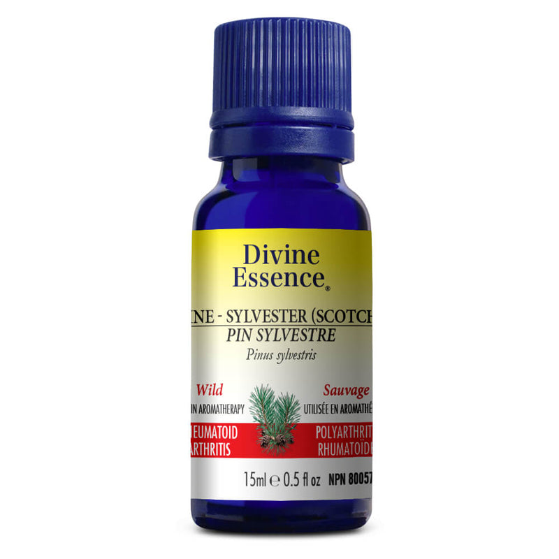 Divine essence huile essentielle pin sylvestre sauvage