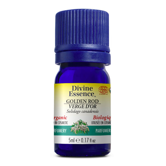 Divine essence huile essentielle verge d'or biologique
