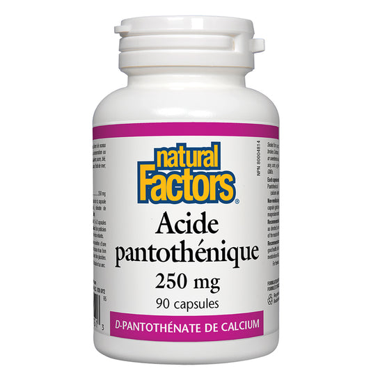 Natural factors acide pantothénique 250 mg
