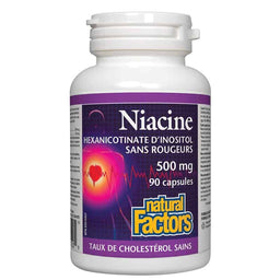 Natural factors niacine 500 mg