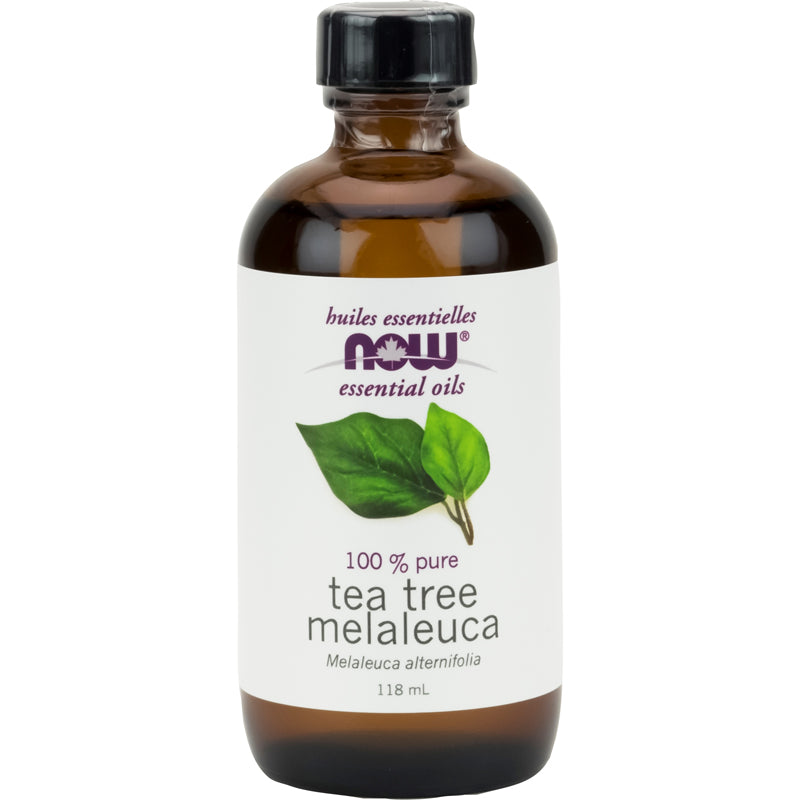 Essential Oil - Tea Tree Melaleuca