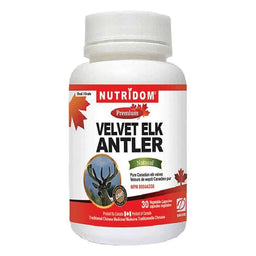 Velvet Elk Antler 