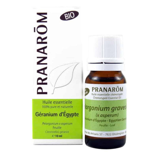 Huile essentielle Géranium d’Égypte||Essential oil - Egyptian geranium