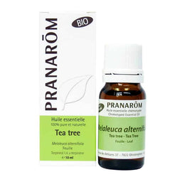 Huile essentielle Tea tree||Essential oil - Tea tree