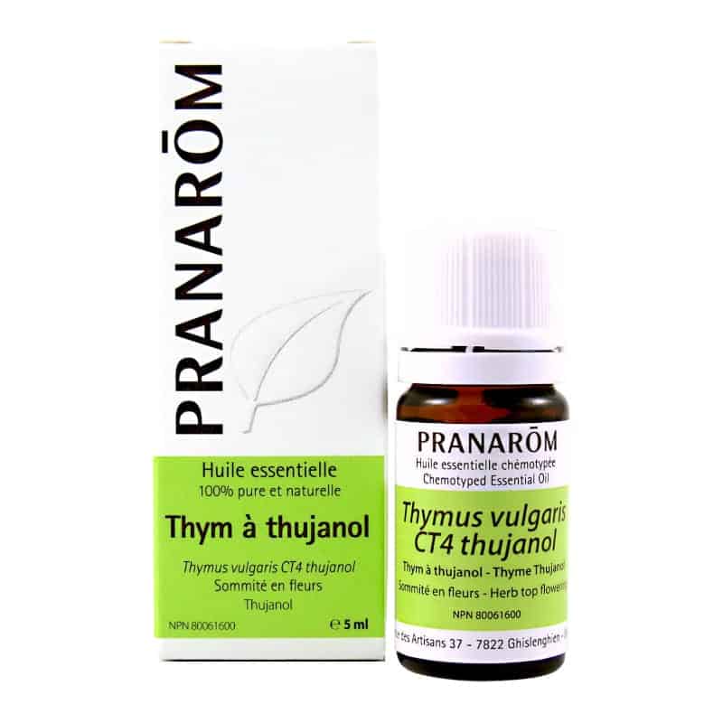 Huile essentielle Thym à thujanol||Essential oil - Thyme thujanol