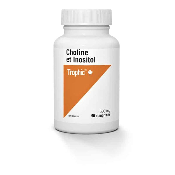 Comprimés De Choline 500 Mg Sowelo - Soutien Mémoire, Foie & Système Nerveux - 120 à 1200 Pilules